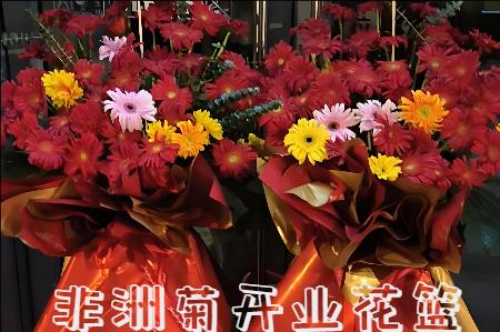遵义开业花篮